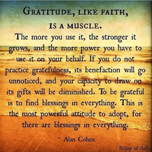 Screen Shot 2014-11-26 at 8.00.56 PM