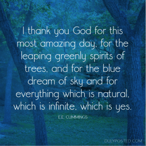 Screen Shot 2014-11-26 at 8.02.45 PM